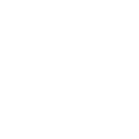 Logo-Funandboxing-footer